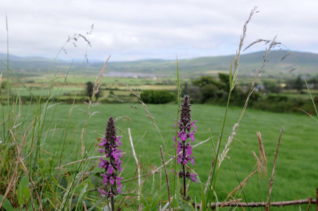Short Strand Dingle Emlagh East Kültér fotó